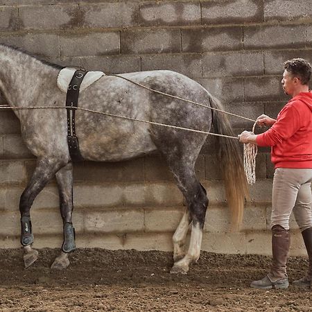 Az.Agr. Il Cavalleggero Campiglia dʼOrcia Eksteriør billede