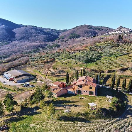 Az.Agr. Il Cavalleggero Campiglia dʼOrcia Eksteriør billede