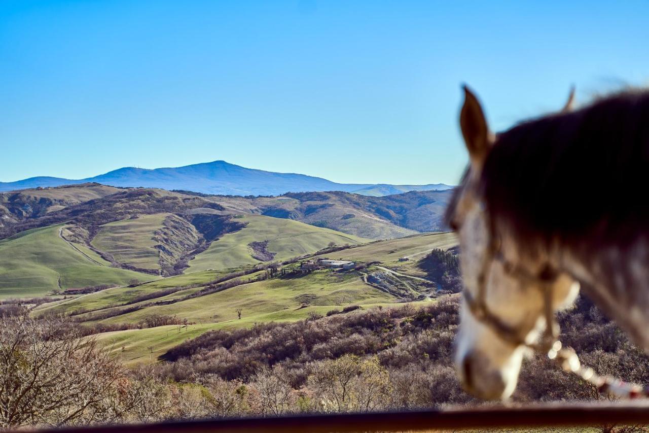 Az.Agr. Il Cavalleggero Campiglia dʼOrcia Eksteriør billede