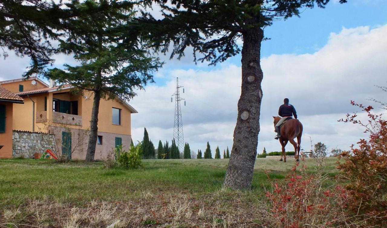 Az.Agr. Il Cavalleggero Campiglia dʼOrcia Eksteriør billede