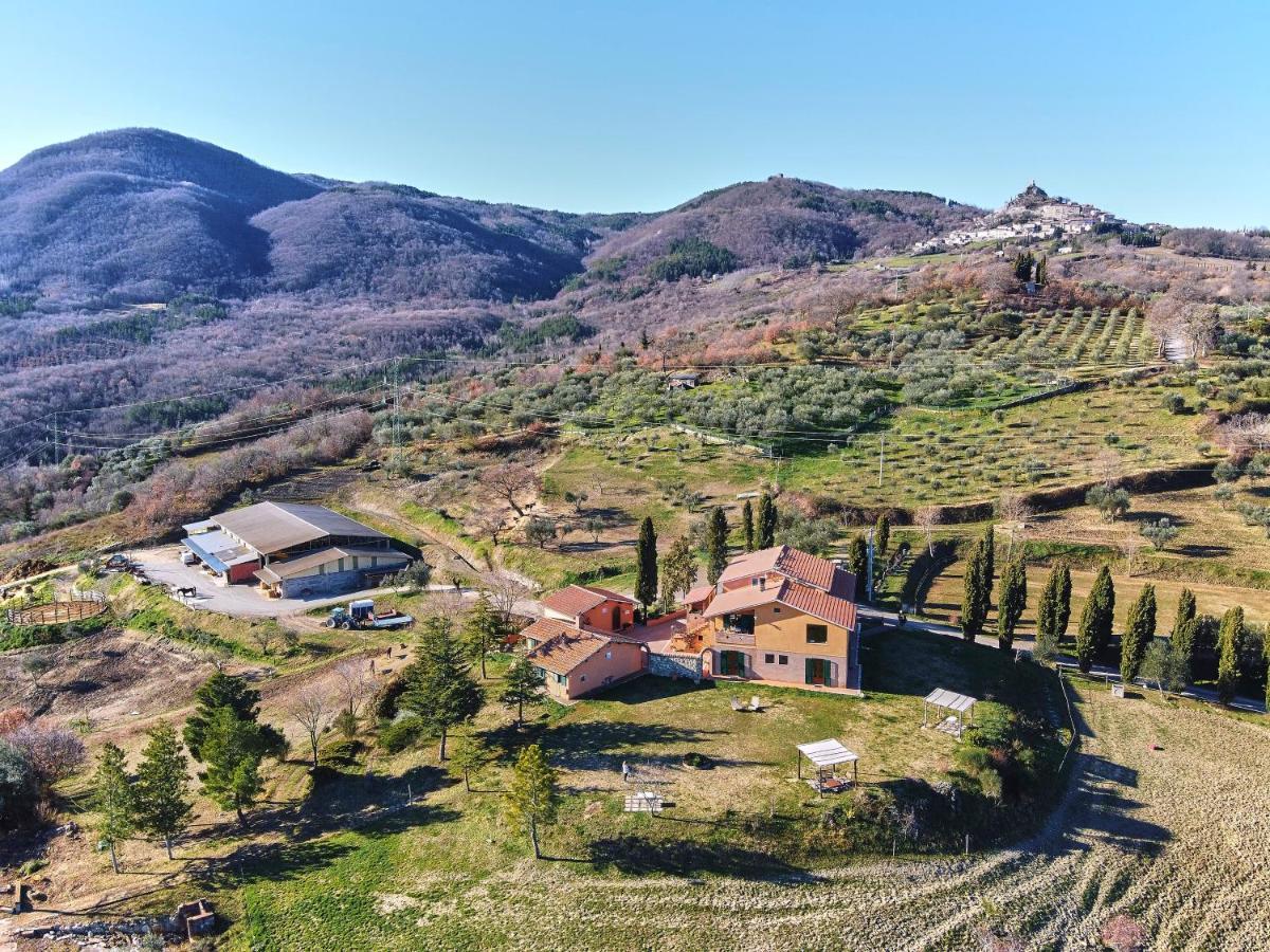 Az.Agr. Il Cavalleggero Campiglia dʼOrcia Eksteriør billede