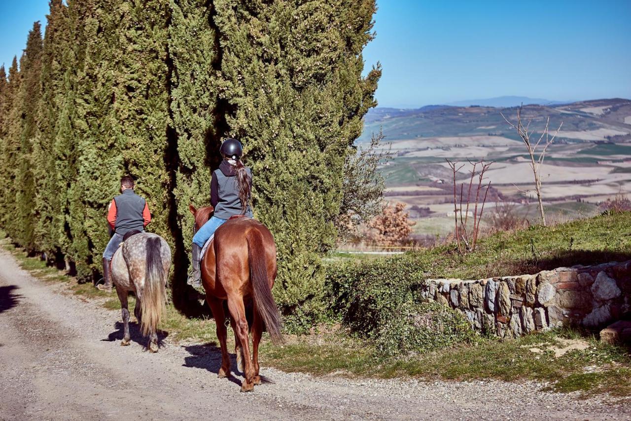 Az.Agr. Il Cavalleggero Campiglia dʼOrcia Eksteriør billede