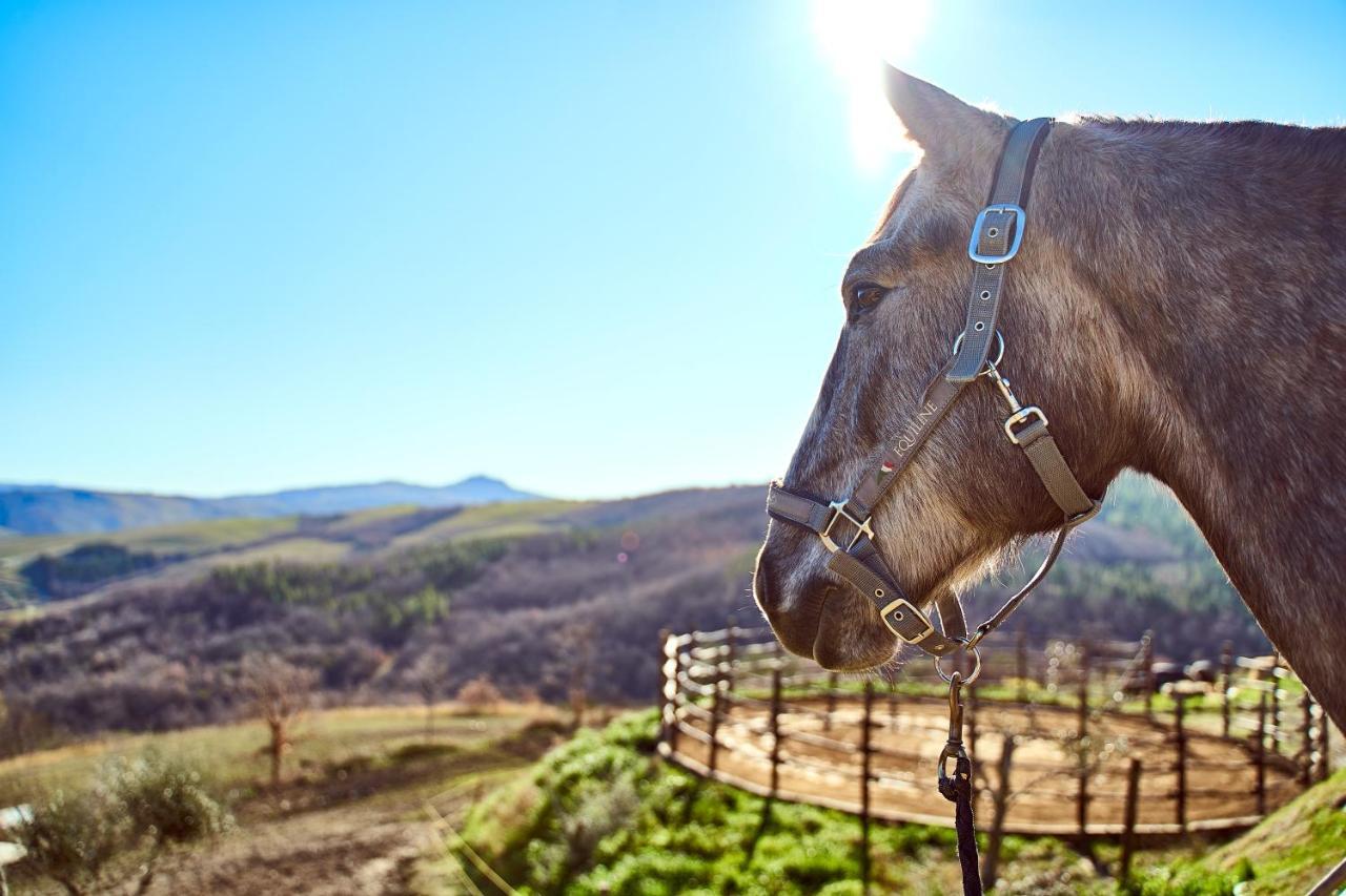 Az.Agr. Il Cavalleggero Campiglia dʼOrcia Eksteriør billede